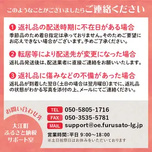 《先行予約》大江町産 山形りんご 「高徳りんご」 2.5kg （M～3S 12～16玉）【2024年10月下旬頃～発送予定】048-006