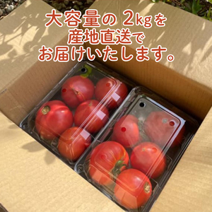 【2027年4月～発送】 トマト 大玉 訳あり 2kg トマトIM