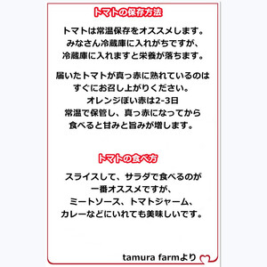 【2027年4月～発送】 トマト 大玉 訳あり 1kg 野菜トマト IM