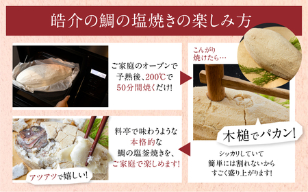 おうちで焼ける　鯛の塩釜　セット 