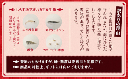しらす干し 訳あり 1kg ×1箱 しらす