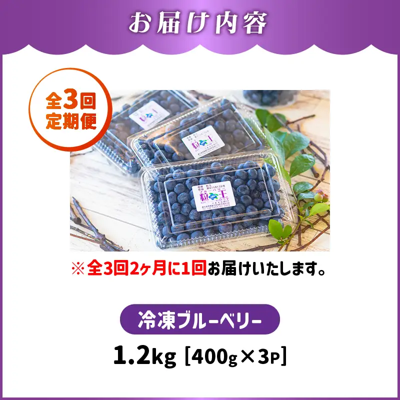 2467-1 【 全3回 定期便 】（ 2ヶ月に1回お届け）粒王 ブルーベリー 1.2kg（ 400g × 3P ） KN030-T01 果物 冷凍