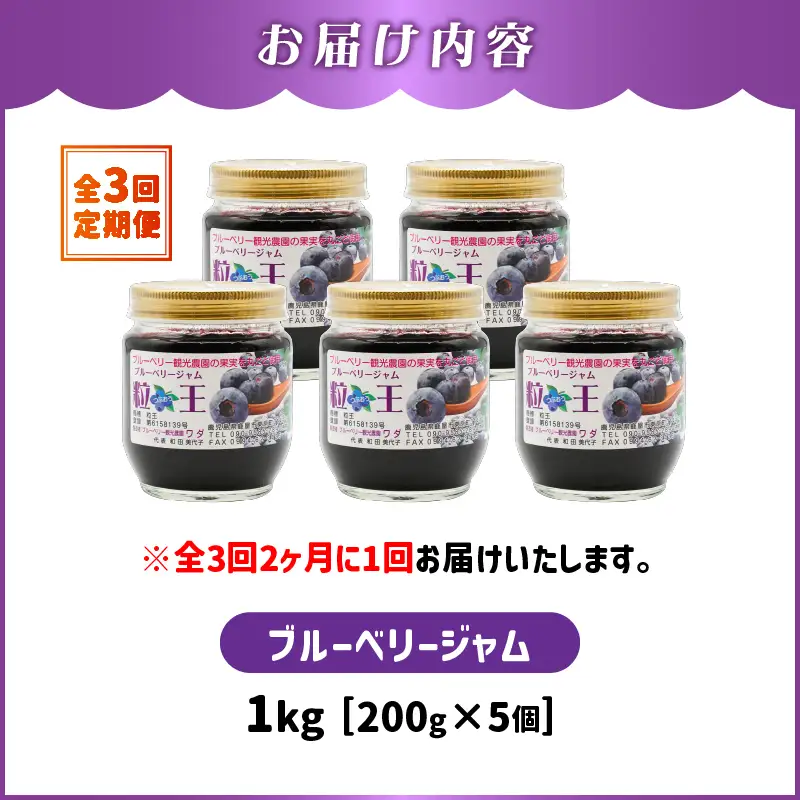 2468-1  【 全3回 定期便 】（ 2ヶ月に1回お届け ）粒王 ブルーベリー ジャム 200g × 5個 KN030-T02 果物 加工食品