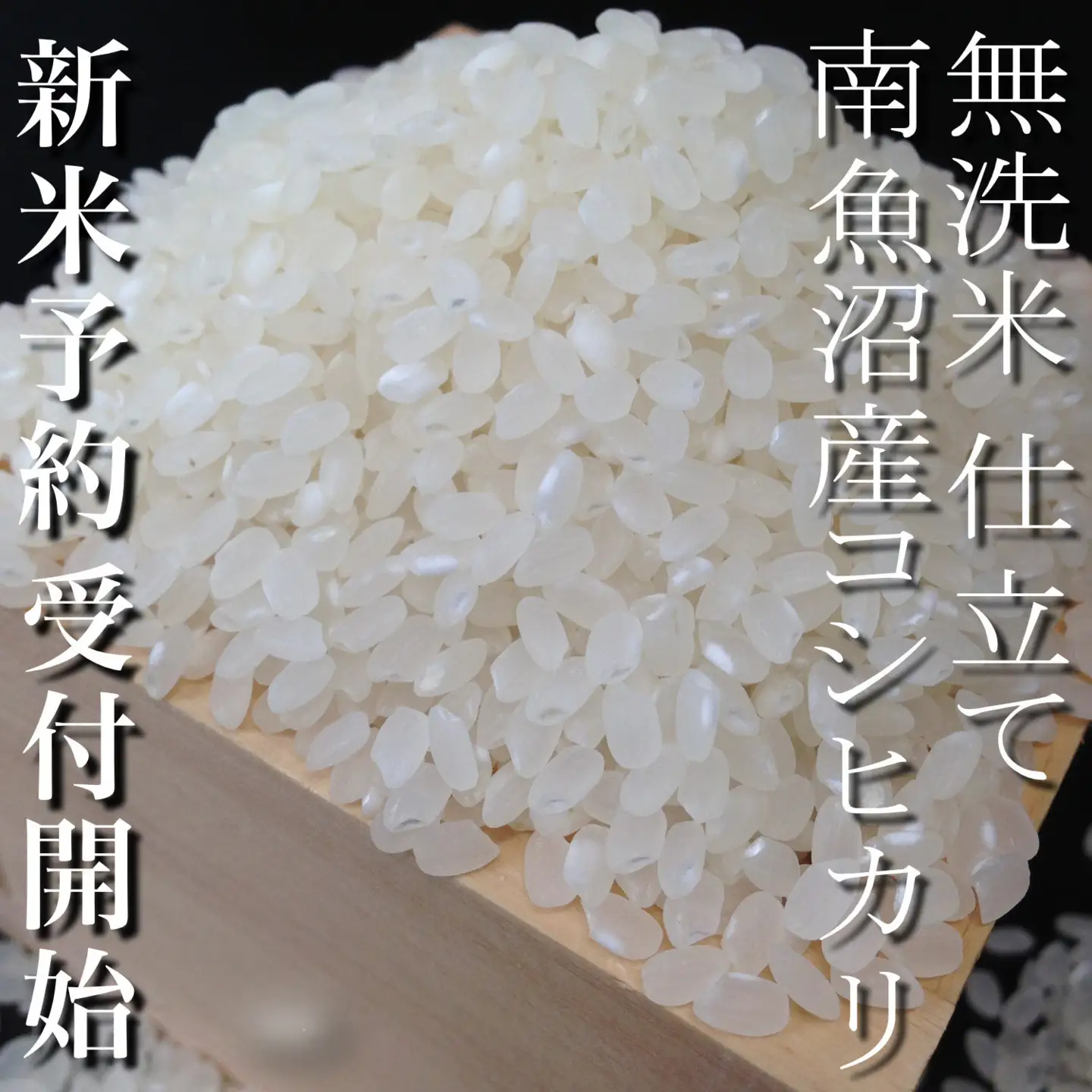 【令和8年産　新米予約】定期便１２ヶ月：無洗米５Kg 南魚沼産コシヒカリ【定期便 銘柄米 ブランド米 無洗米 こしひかり コシヒカリ 魚沼産 新潟米 産地直送 お米 米 こめ ごはん】【2026年10月上旬から1ヶ月以内に順次発送予定】