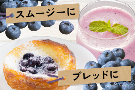 冷凍ブルーベリー 約1kg ブルーベリー 冷凍 フルーツ 果物 くだもの 冷凍フルーツ 冷凍果物 完熟 新鮮 人気 ギフト 贈り物 プレゼント 茨城県産 55-C