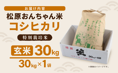 【先行予約】【令和7年産・新米】コシヒカリ（玄米）特別栽培米 30kg（30kg×1袋）【2025年9月中旬以降順次発送予定】【福井県産 お米 ブランド米 玄米 精米 ご飯 おにぎり お弁当 和食】[m26-e001]