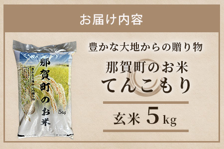 「令和6年産 新米 先行受付」 那賀町相生産 てんこもり 玄米 5kg 1袋 「2024年10月上旬より発送」 【徳島 那賀 国産 徳島県産 特A ブランド米 お米 こめ おこめ 米 ご飯 ごはん 玄米 5キロ 和食 おにぎり お弁当 玄米 おいしい 食べて応援 お取り寄せ 産地直送】YS-40