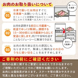 豚肉 黒豚セット 合計 3kg 豚肉 【Rana】A411-v02