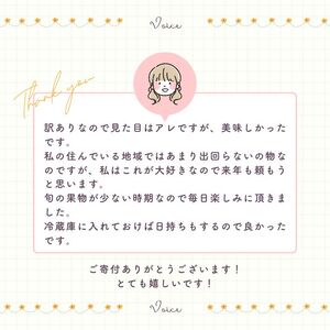 【訳あり】  河内晩柑 10kg(傷み保証300g) 木取り完熟  【発送期間: 2024年８月～ なくなり次第終了】 柑橘 みかん 愛南ゴールド 蜜柑 グレープフルーツ ゼリー ジュース アイス 果物 フルーツ サイズミックス 規格外 吉本農園