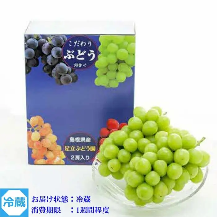 【先行受付】シャインマスカット 600g × 2房 【1.2kg ぶどう ブドウ 葡萄 2026 予約 先行予約 種なし 皮ごと 甘い 完熟 フルーツ おすすめ 旬 お取り寄せ 島根県 安来市】 【24-AB-02】