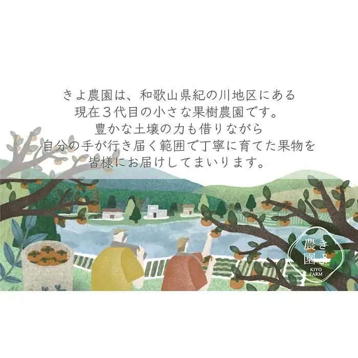 特大まりひめイチゴ 朝摘 6個～11個入×4パック［2027年1月中旬頃より発送］［先行予約］［KT4］