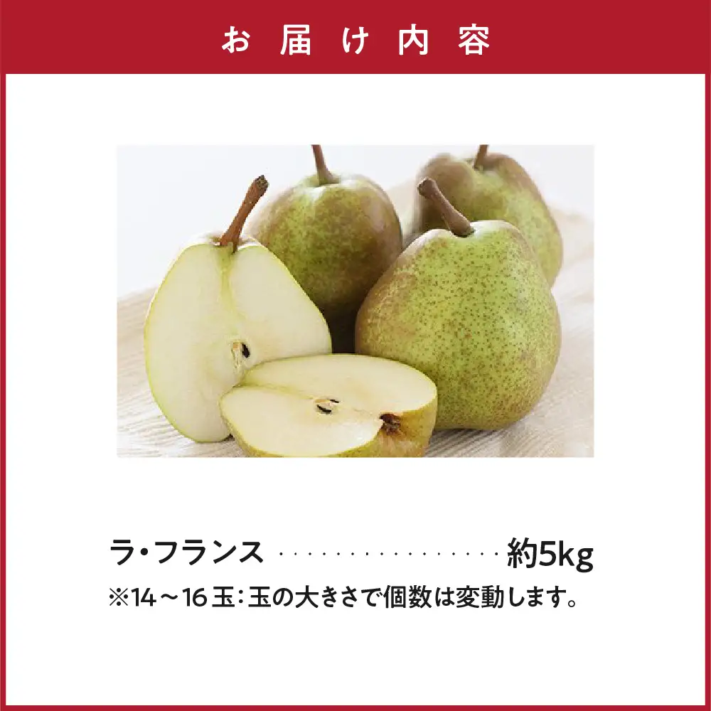 【先行予約】 令和8年産 ラ・フランス 約5kg 14玉 ～ 16玉