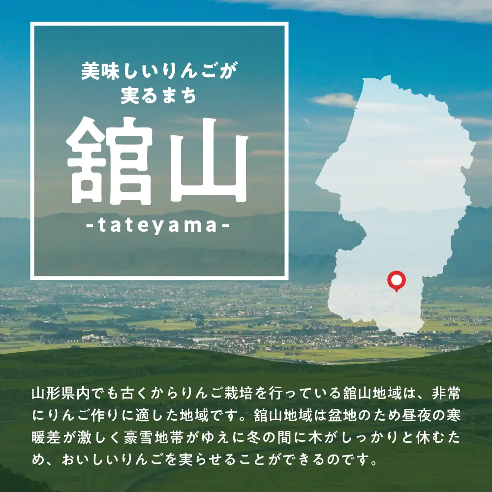 【先行予約】 令和8年産 舘山りんご ふじ 約5kg 16玉 ～ 20玉