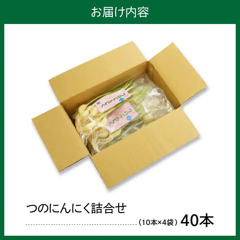 つのにんにく 10本 × 4袋 計40本 発芽にんにく