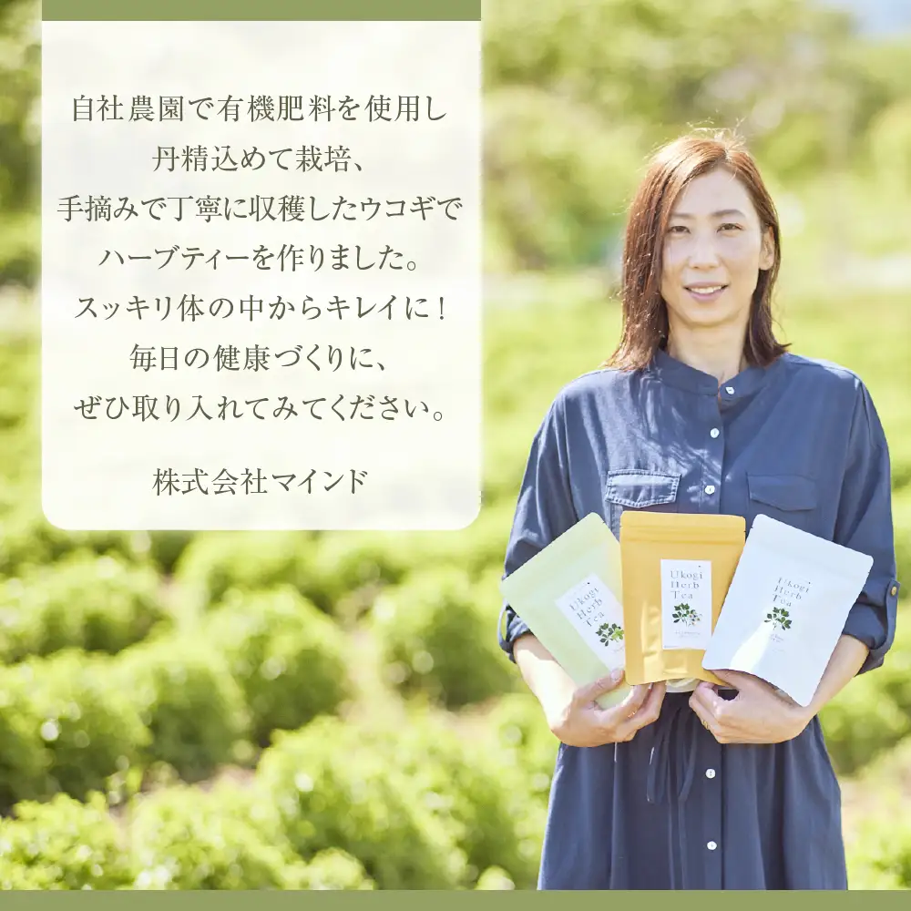 Ukogi Herb Tea ( ウコギハーブティー ) 3種 ミックスパック ウコギ100% カモミールブレンド ペパーミントブレンド 各2個 計6個入り ティーバッグ