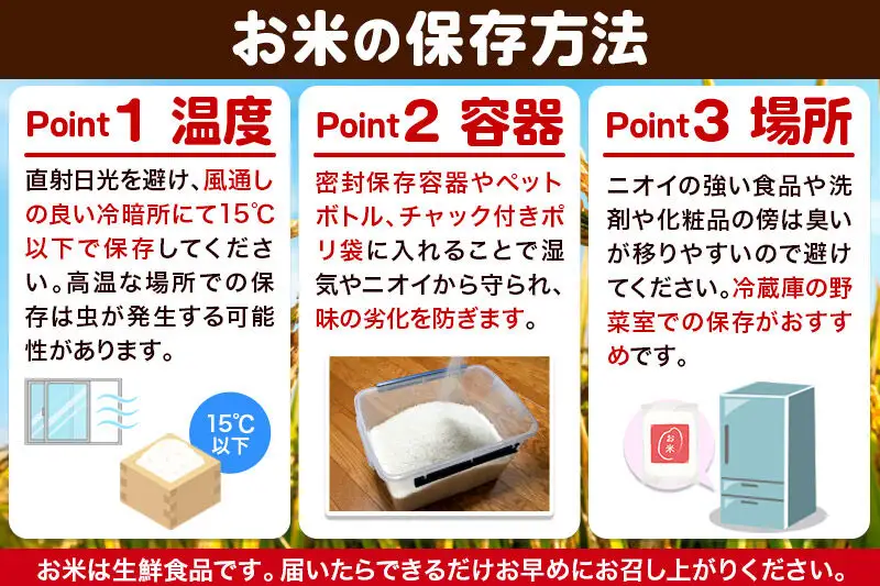 【白米】令和7年産 真田のコシヒカリ小松姫 プレミアム 5kg×1袋 金井農園
