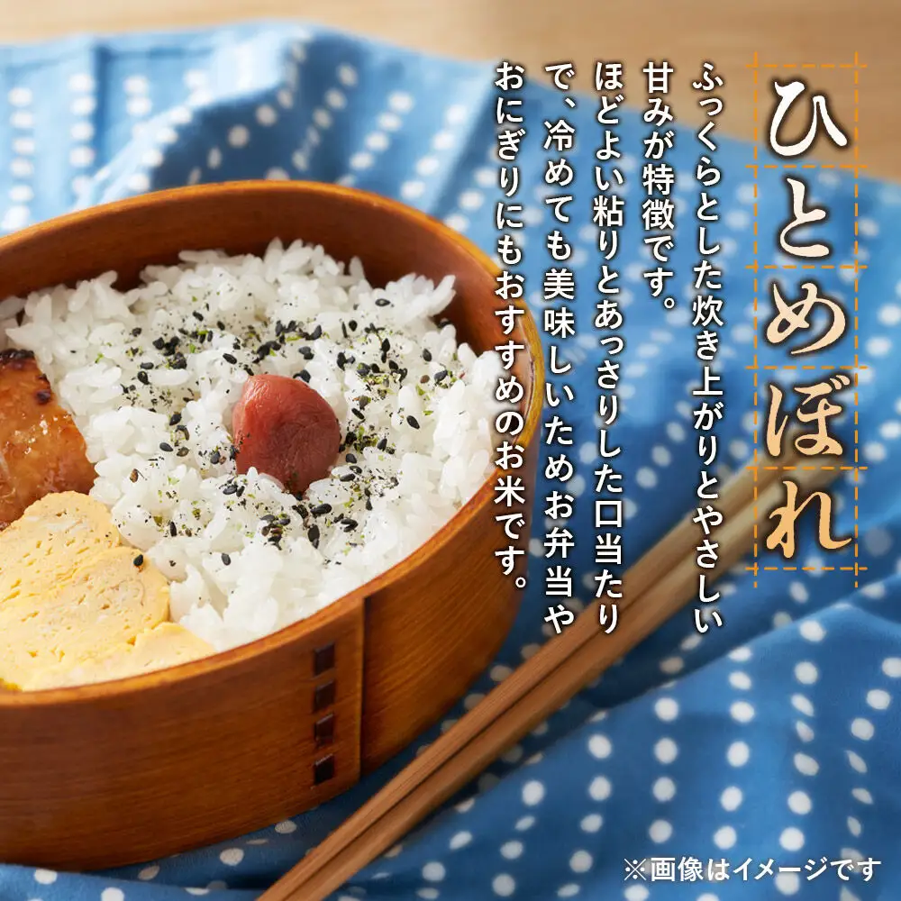 ＜令和8年産 新米＞《3ヶ月定期便》【 白米 】秋田県産ひとめぼれ 5kg