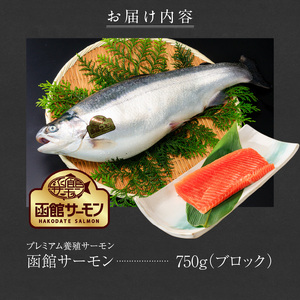函館サーモン（750g）養殖 サーモン 新鮮_HD231-013