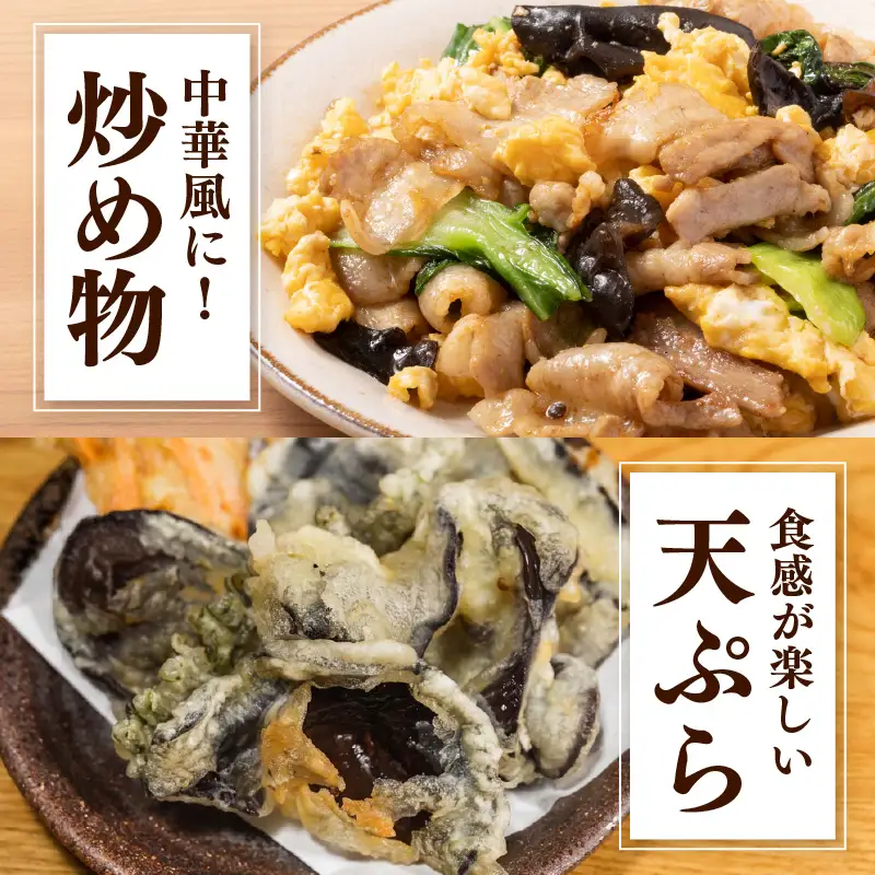 期間限定 生きくらげ 200g×3パック 計600g キクラゲ