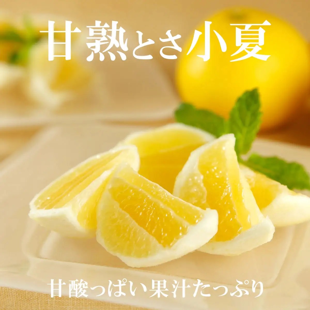 【先行予約】甘熟とさ小夏 家庭用（2S~2Lサイズ）約5kg〈2027年4月上旬-2027年5月中旬頃発送〉高知県土佐市 【株式会社SHIRAKI】 [BQAI032]