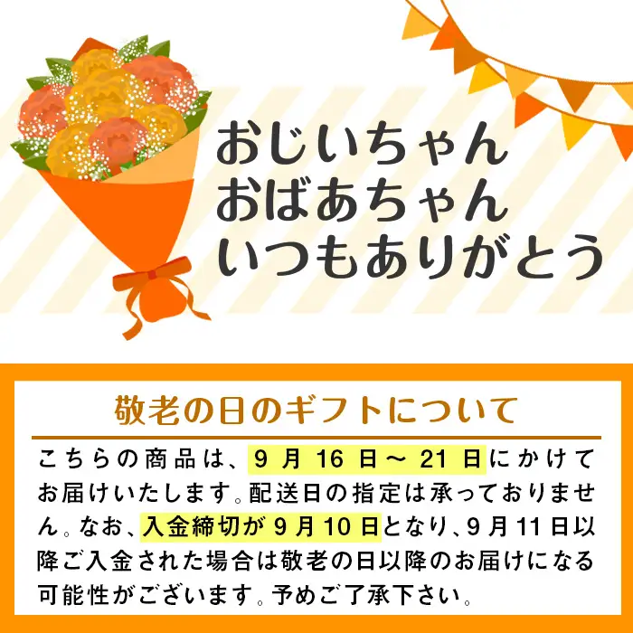 i857-k 【敬老の日ギフト】極撰白だしセット(1L×2本・計2L) 敬老の日 出汁 だし 白出汁 かつお 昆布 セット 鹿児島県 料理 調味料 旨み うまみ 濃厚 ギフト プレゼント 贈答【奈良醸造元】