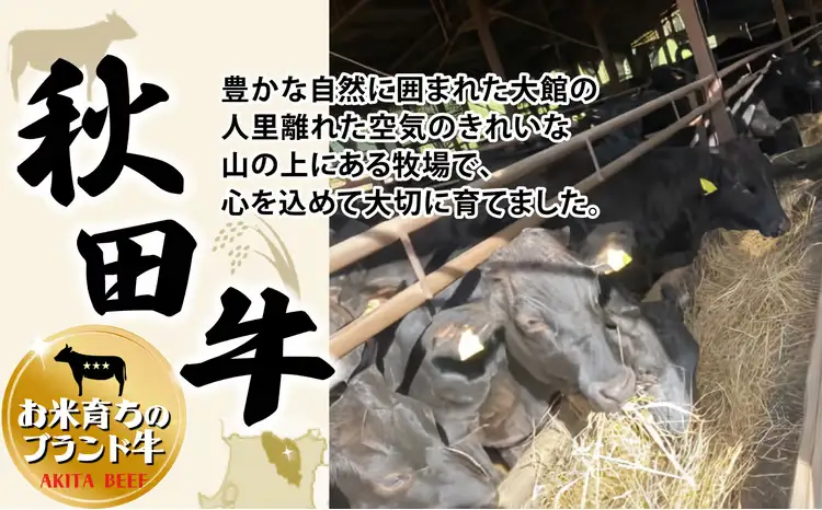 秋田牛スモークビーフ 180g（30g×3個　2セット） 115P2602【東日本物産 】