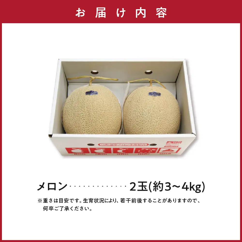 先行予約 令和8年産 温室メロン マスクメロン 2玉 約3～4kg