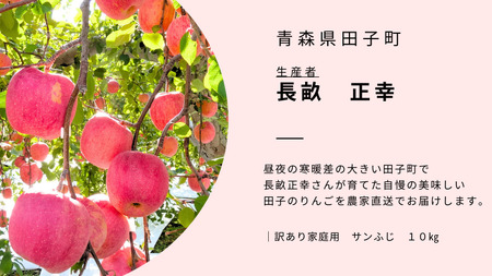 【訳あり】青森りんご田子の家庭用サンふじ 約10kg （12月出荷）