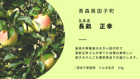 【訳あり】青森りんご田子の家庭用ぐんま名月 約5kg （11月出荷）