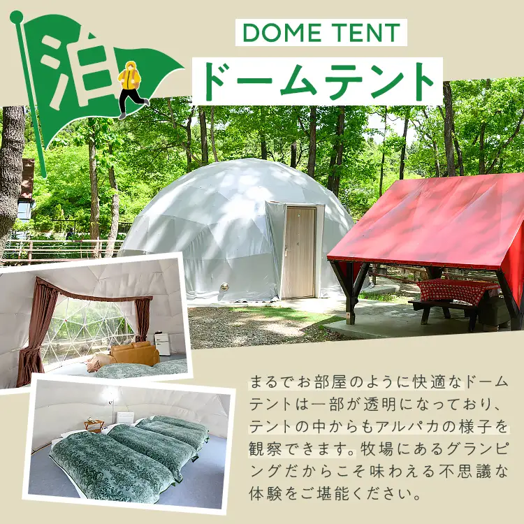 【泊まれる牧場】那須高原りんどう湖ファミリー牧場 日本初・アルパカと泊まれる グランピング 50,000円分利用券｜宿泊 旅行 レジャー アウトドア BBQ 国内 那須 栃木県 那須町〔P-227〕