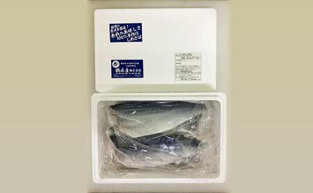 素材の美味しさ100%国産 手作りしめさば 約140ｇＸ4パック 計約560g 片身フィレ 生食用  冷凍 〆鯖 しめ鯖 国産 魚 つまみ さしみ 寿司 天然 冷凍 10000 海の幸◇