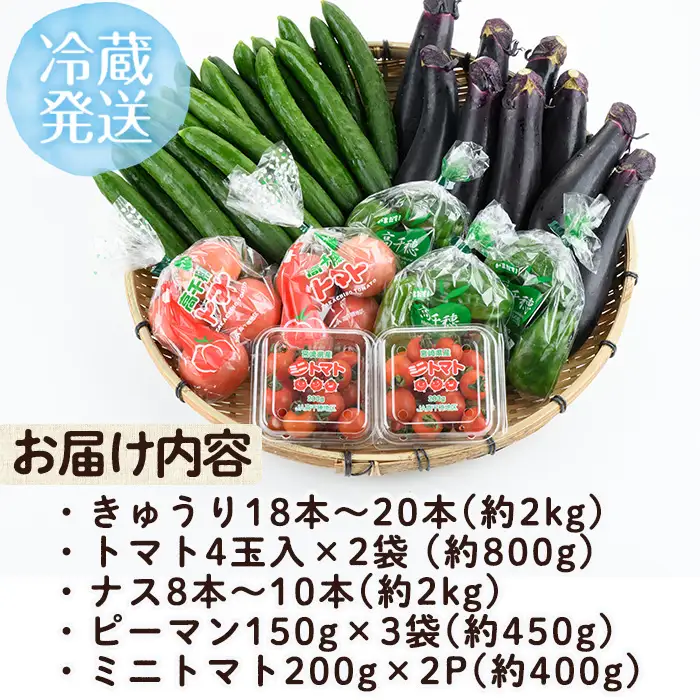 ＜数量限定・期間限定＞高千穂地区高冷地野菜詰め合わせ(5種) やさい きゅうり ピーマン トマト ミニトマト なす 茄子 冷蔵 季節 新鮮 旬 産地直送 【NK017】【宮崎県農業協同組合　高千穂地区本部】