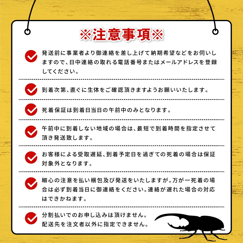 ヘラクレスオオカブト メス 1匹 サイズフリー　※配送不可地域あり
