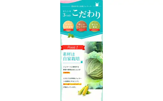 【キミノーカ選りすぐり】ジェラート8個セット【2月発送】 / ジェラート アイス アイスクリーム キミノーカ スイーツ 季節の 野菜 と 果物 使用 送料無料 夏 デザート【kmk001-2】