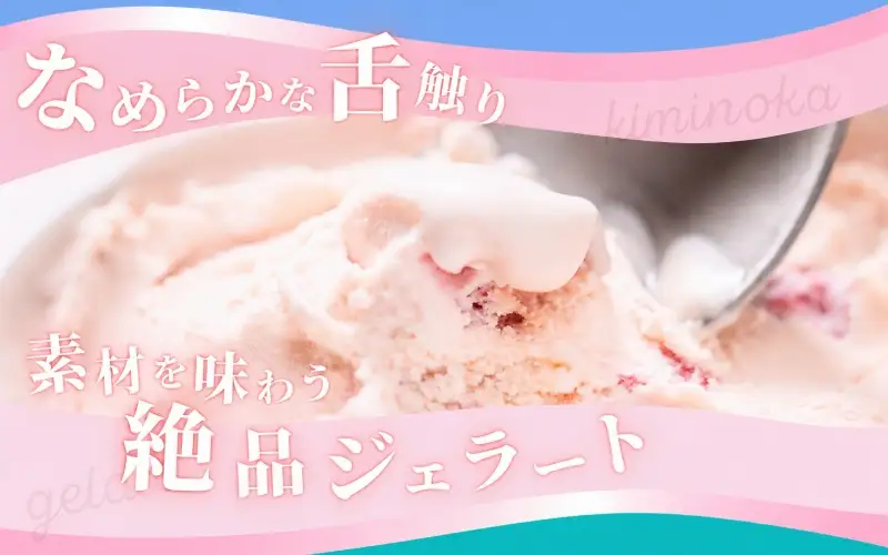ジェラート セット 6個 2月発送 13000円 / キミノ―カ アイス クリーム スイーツ 野菜 果物【kmk105-feb-6】