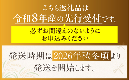【先行予約】令和8年産 富有柿 2L 12個 ｜《2026年11月上旬より発送予定》カキ かき 果物 くだもの フルーツ 高橋柿ファーム 岐阜県 本巣市 [mt481] 12000円 [mt481_26]	