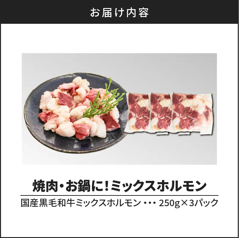 焼肉・お鍋に！ミックスホルモン750g（250g×3パック） K002-005_01 肉 牛肉 冷凍