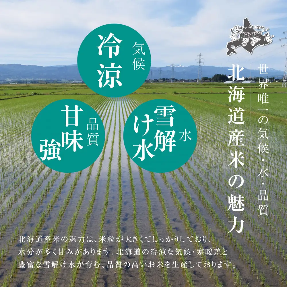 令和7年度産 ななつぼし 白米 10kg | ななつぼし_03887