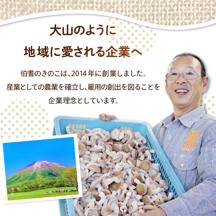 オーガニック菌床たもぎたけ6パック【タモギ茸 きのこ たもぎ茸 キノコ セット 茸 詰め合わせ たもぎたけ タモギタケ エルゴチオネイン だし 出汁】