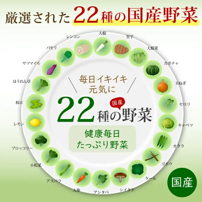 極濃青汁(計90g・3g×30包) 青汁 大麦若葉 乳酸菌 酵素 国産野菜 コラーゲン 腸内環境 腸活 常温【115400101】【無塩ドットコム】