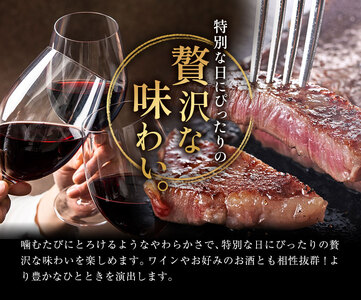 牛肉 肉 鹿児島県産北さつま 高崎牛 サーロインステーキ 1枚 300g 有限会社 太田家 《30日以内に出荷(土日祝除く)》 お肉 牛 ステーキ 鹿児島県 さつま町