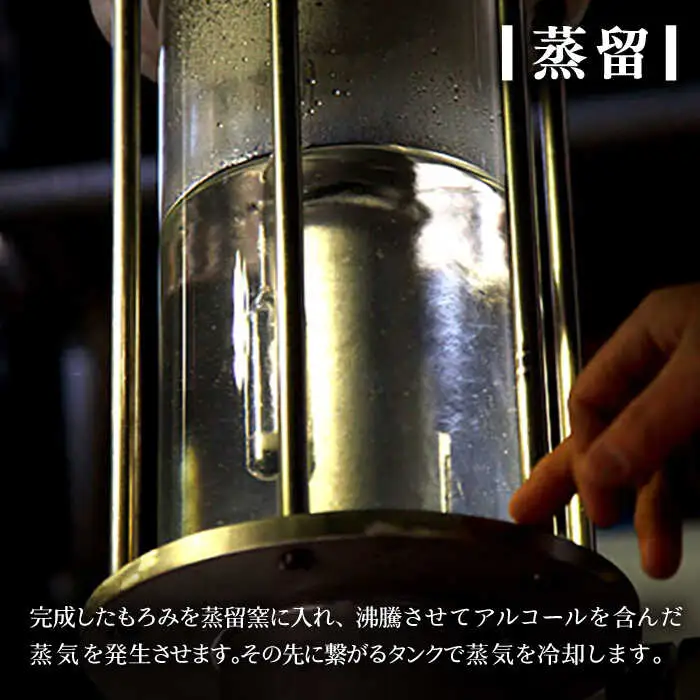【全2回定期便】壱岐麦焼酎 雪洲（20度）2 本セット《壱岐市》【重家酒造（株）】焼酎 壱岐焼酎 麦焼酎 酒 アルコール [JCU009]