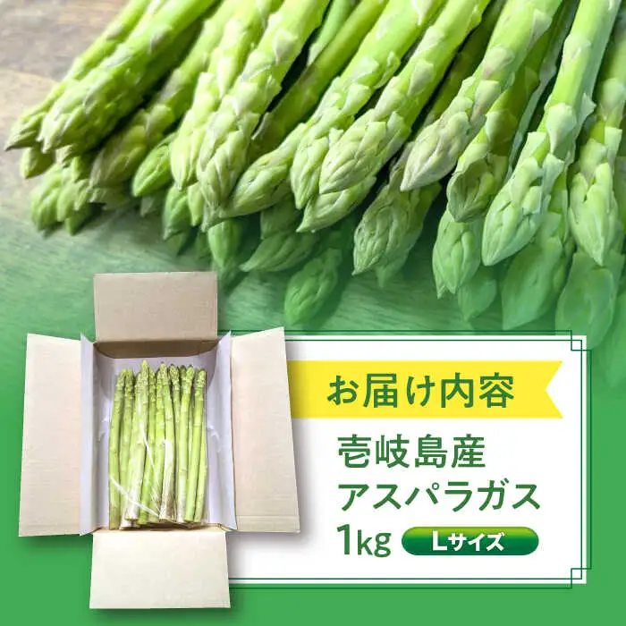 【お中元】【アスパラガス専門農家が作る！】壱岐産アスパラガス1kg(Lサイズ) 《壱岐市》【きたじま農園】国産 冷蔵配送 産地直送 朝採れ 新鮮 [JGI003]