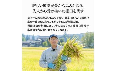 【令和8年産　新米先行受付】米農家自慢の特別栽培米魚沼産コシヒカリ(精米)10kg 白米 お米 こめ コメ 魚沼産コシヒカリ こしひかり 魚沼