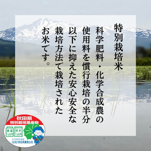 ササニシキ 精米 特別栽培米 恋の舞 秋田県産 ササニシキ【5kg】