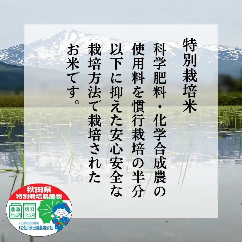 コシヒカリ 精米 特別栽培米 鰰米 秋田県産 コシヒカリ【5kg】
