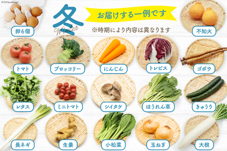 CH113 野菜 フルーツ 定期便6回 旬のおまかせセット 野菜 フルーツ13～14品目 卵6玉 ◎