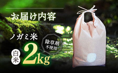 【 令和6年産】弥山岳の岩清水で育ったノガミファームの お米 白米 2kg 桂川町/NOGAMI FARM [ADAU003] コメ 米 こめ 白米 ご飯 2kg 農家 直送