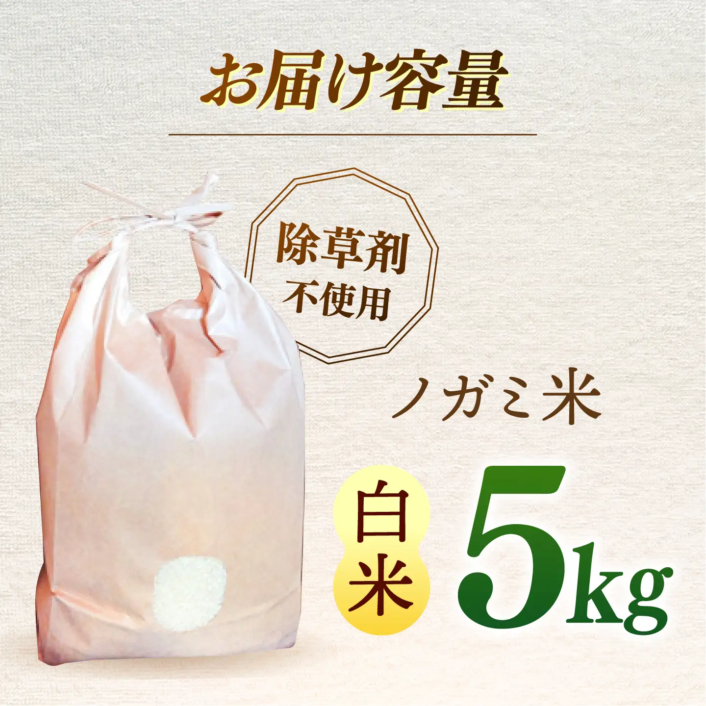 【 令和7年産】弥山岳の岩清水で育ったノガミファームの お米 白米 5kg ▼ 米 お米 白米 5kg 農家 直送 人気 ご飯 桂川町/NOGAMI FARM [ADAU004]