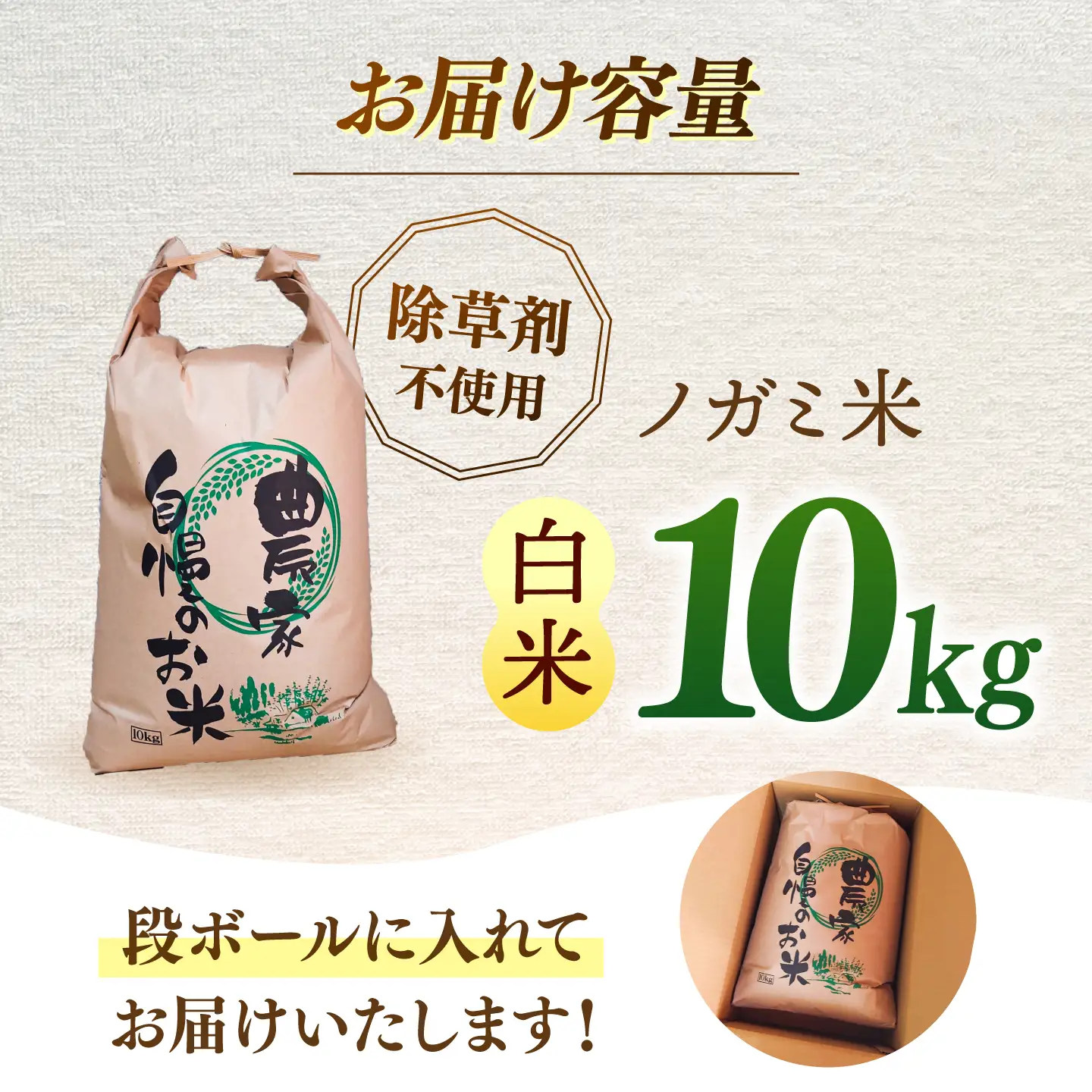 【 令和7年産】弥山岳の岩清水で育ったノガミファームの お米 白米 10kg 桂川町/NOGAMI FARM [ADAU005] 米 白米 お米 コメ こめ 小分け 農家 直送 